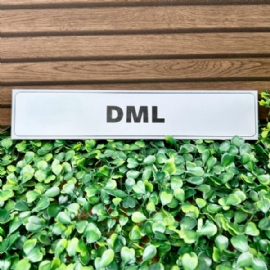 PLACA PVC 5X25 CM  DML DECORCHIC